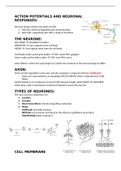 Action potentials and the nervous system