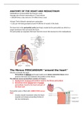Anatomy of the heart and mediastinum 