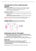 Intro to the cardiovascular system year 1