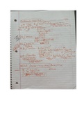 Calculus AB: Fundamental Theorems I and II