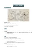 Human Reproduction Part 1 - Life Sciences 