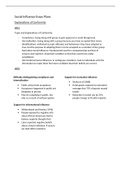 Social Influence Essay Plans