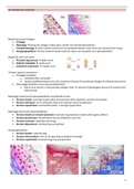 Samenvatting overzicht practicum cellen en weefsels 