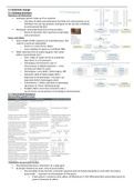 Chapter 17 inherited change textbook notes Unit 7 genetics, populations, evolution and ecosystems biology AQA A level