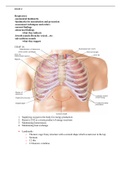 NUR 220 Exam 2 study Guide