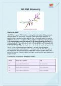 16S rRNA Sequencing