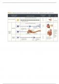 ALevel and AS Level Biology. OCRA Biology Module 5 (5.1) Neuronal Communication Summary Notes and revision notes. 