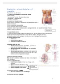 Verpleegkundig redeneren en handelen inleidend 2: urineregulatie en ph anatomie