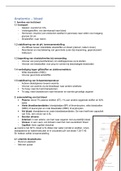 Verpleegkundig redeneren en handelen inleidend 2: bloed anatomie