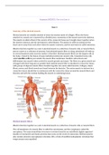 Summary/samenvatting cases BGZ2025 Use it or Lose it