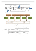 Schema College Politicologie 