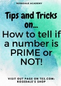 Identifying PRIME NUMBERS ~ GCSE IGCSE AQA / Edexcel ~ Study Notes | Exam Tips and Tricks