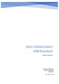 OE41: Consultancy Project (Business Studies) 