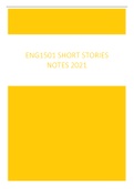 ENG1501 Short Story Notes 2021 for Exam