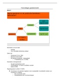 Samenvatting Hoorcolleges Goederenrecht (JBD2, blok 2 jaar 2)