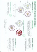 Samenvatting Algemene en Moleculaire Genetica