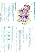 Samenvatting Cel- en weefselleer: Deel Bloed, Bloedvorming en Bloedvaten