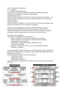 La empresa y el empresario.