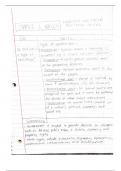 American Government (POLS 1101) Class Notes 