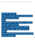 NEW GCSE 9-1 Biology STRUCTURE OF THE EYE - COMPLETE STUDY NOTES - Revision Help - AQA - Edexcel