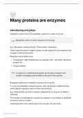 AQA A Level Biology notes- Many proteins are enzymes Unit 1