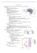 College aantekeningen Hersenen En Gedrag - Deeltentamen 2 
