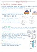 "Comprehensive Study Summary : Embryonic Development & Neurulation - Key Concepts in Organogenesis"