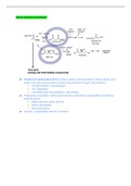 BIOL 3362 - Exam 4 Study Guide. 