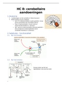 samenvatting hoorcollege 8