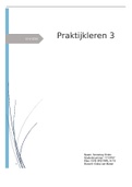 Portfolio: praktijkleren 3, met CAT en klinisch redeneren HBO-V Utrecht 