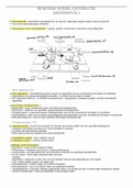 Samenvatting Business model generatie hoofdstuk 1, Look @ the environment