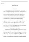 BUS FP3007 Assessment 3 1.docx  BUS-FP3007  Building Effective Teams Capella University  Introduction  Creating a successful business from the ground up requires many specialties to come together. The goals should all be shared but they must be attacked i