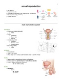 Summarised human sexual reproduction notes 