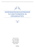 SAMENWERKINGSVERBANDEN FUNCTIONEREN IN ORGANISATIES 