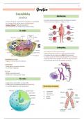 resumen GENETICA MEDICA- medicina