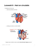 Samenvatting Anatomie en Fysiologie OWE 1 het verpleegkundig beroep