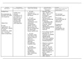 Nursing Care Plan COPD (completed) graded A; Pt presented at ED with C/O SOB and dypsnea