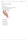 CABS Exam I (Rheum, congenital anomaliee, MSK) 2024!!