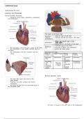 ATI CARDIOVASCULAR SYSTEM (Latest 2021) Study Guide, Download to Score A