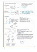 Samenvatting  Immunologie deel 3  (1017474BNR)