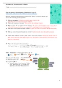 Stomata and Transpiration Virtual Lab| Answer Key