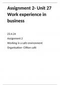 business level 3- unit 27 work experience in business- assignment 2