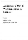 business level 3- unit 27 work experience in business- assignment 3