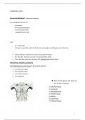 Samenvatting -  anatomie - spieren van het bovenste lidmaat 