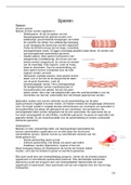 Samenvatting de spieren anatomie en fysiologie voor het MBO