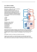 Complete samenvatting Hematologie leerjaar 1 Hogeschool Utrecht