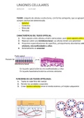 Resumen Histología Médica Básica