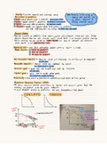 AS Level Notes Economics Unit 1 Nature of Economics