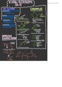 Class notes Organic Chemistry (2070) 