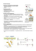 PMO Preventie Kennisclips Samenvatting